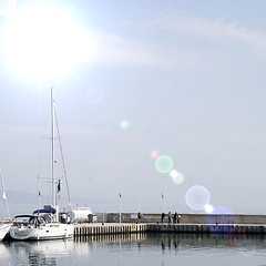 Image showing Sailing boats