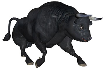 Image showing Black bull