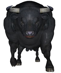 Image showing Black bull