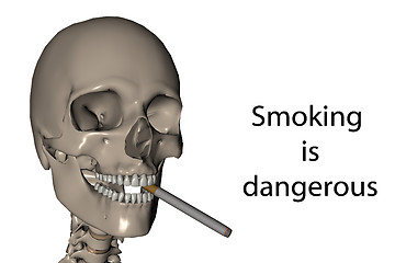 Image showing Smoking is dangerous