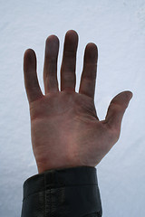 Image showing Hand