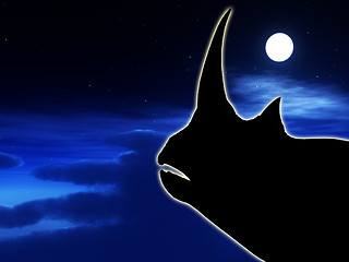 Image showing Rhino At Night