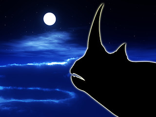 Image showing Rhino At Night