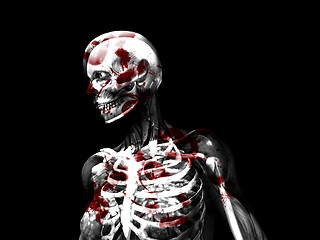 Image showing Anatomy Of Blood