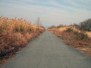 Image showing Road In The Dusk