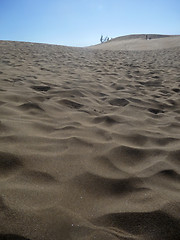 Image showing Close Up Of Sand Dunes 
