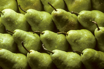 Image showing Bartlet pears lined up