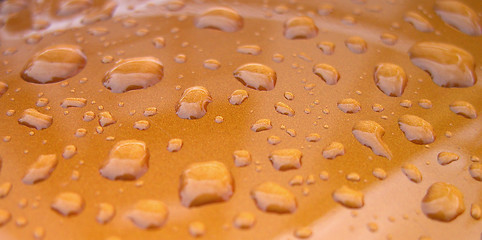 Image showing Water Drops Texture
