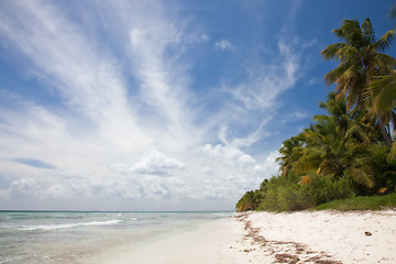 Image showing Tropical Beach