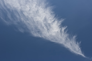 Image showing Fleecy  Cloud