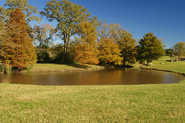 Image showing A stroll in the park