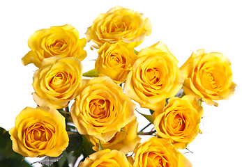 Image showing Bunch of roses