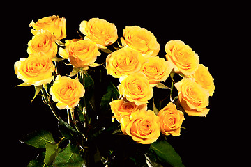 Image showing Bouquet of yellow roses