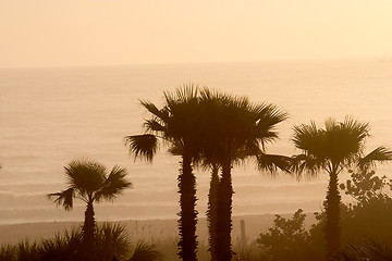 Image showing A walk along the beach