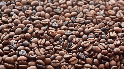 Image showing Roasted Coffee Beans