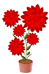Image showing Potted flower