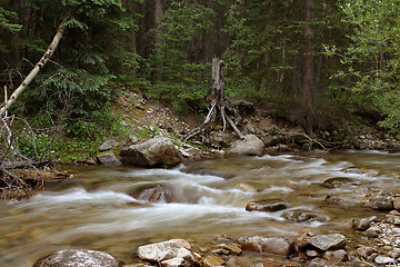 Image showing The calming stream