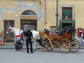 Image showing Italy. Pisa. Tourist carriage on Piazza dei Miracoli  