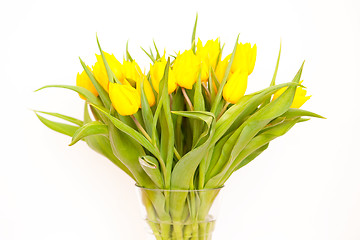 Image showing Tulips