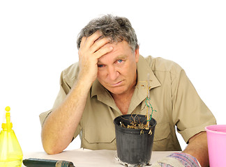 Image showing Distraught Nurseryman