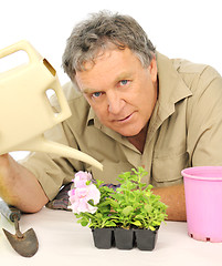 Image showing Watering Seedlings