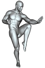 Image showing Fighter on martial arts poses