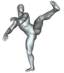 Image showing Fighter on martial arts poses