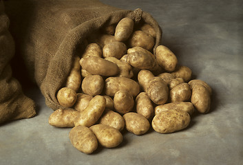 Image showing Spilled burlap sack of potatoes