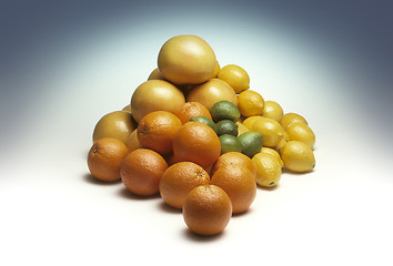 Image showing Pile of mixed citrus fruit