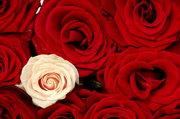 Image showing Rose bouquet