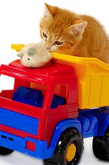 Image showing Kitten palying with mouse