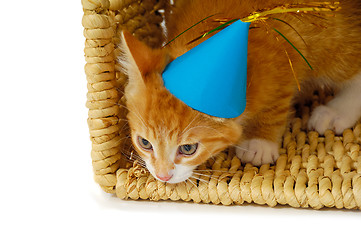 Image showing Kitten with hat 