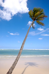 Image showing Exotic beach