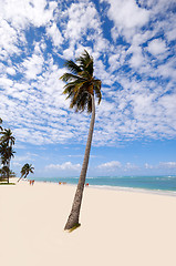 Image showing Exotic beach