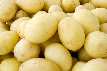 Image showing Young potatoes
