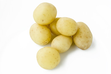 Image showing Young potatoes