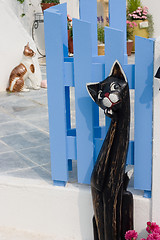 Image showing cats