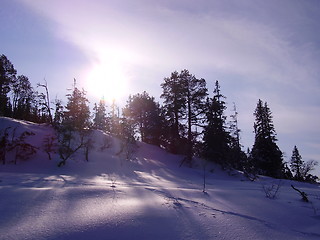 Image showing Winterlandscape