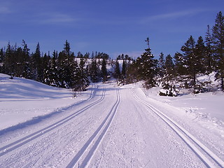 Image showing cross-country skiing