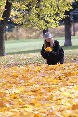Image showing Woman in black coat with collecting leaves
