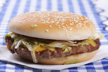 Image showing Hamburger on tissue sideview