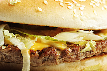 Image showing Hamburger closeup