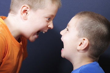 Image showing Shouting brothers
