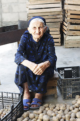 Image showing Elderly woman and potatoes