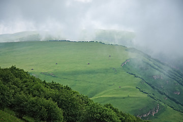 Image showing Fog floating in alpine meadows