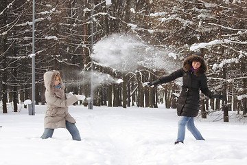 Image showing Snowball fight