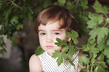 Image showing Girl hiding behind leaves