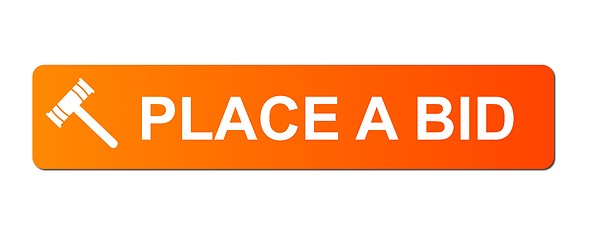 Image showing Place Bid Orange