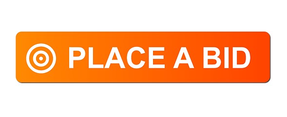 Image showing Place Bid Orange