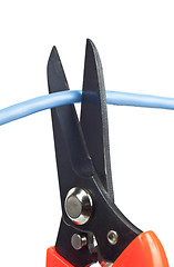 Image showing Cutting network cable